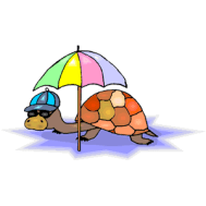 Turtle and umbrella