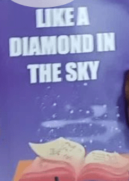 Book Review : Like A Diamond in the&nbsp;Sky