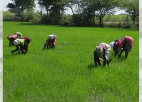 History Sunday : Revolutions in&nbsp;India